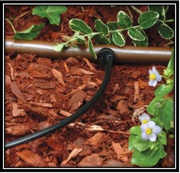 DRIP, DRIP, DROP: A How To, On Installing Simple Drip Irrigation With A Budget (Part 2)